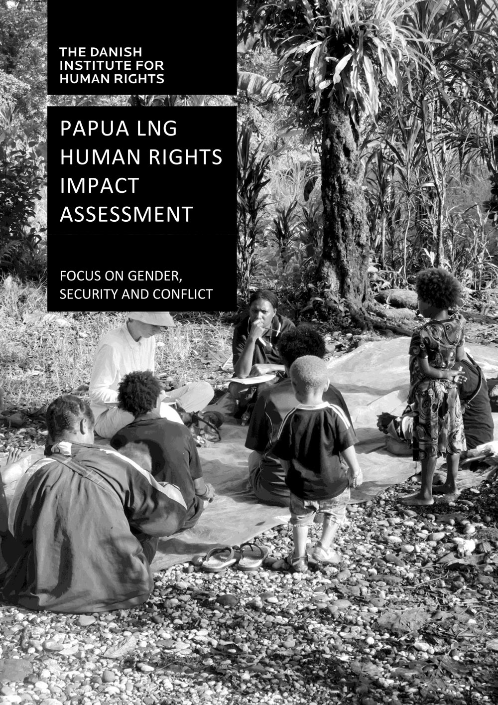 Papua LNG human rights impact assessment: focus on gender, security and conflict