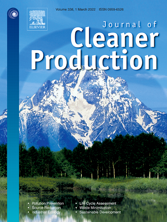 On the economics of project-induced displacement: A critique of the externality principle in resource development projects